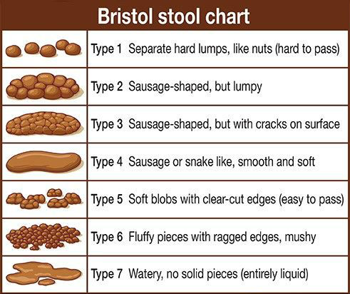 bristol_stool_chart - Bioprofile