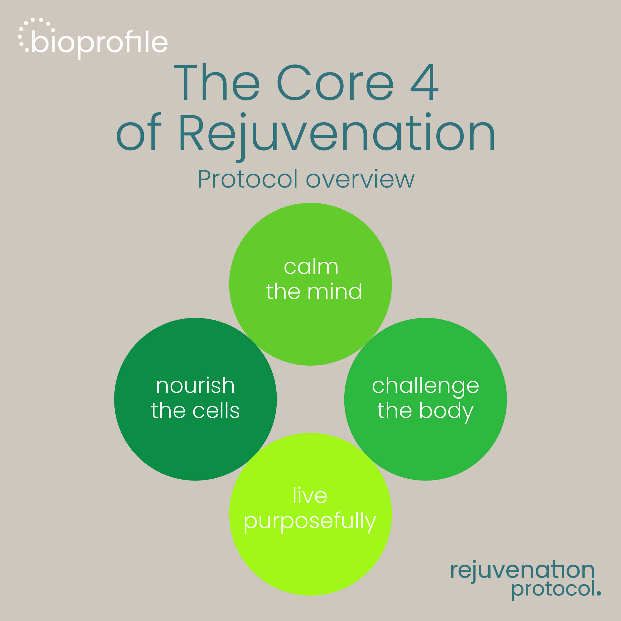 The Core 4 of Rejuvenation - protocol overzicht: calm the mind, nourish the cells, challenge the body, live purposefully