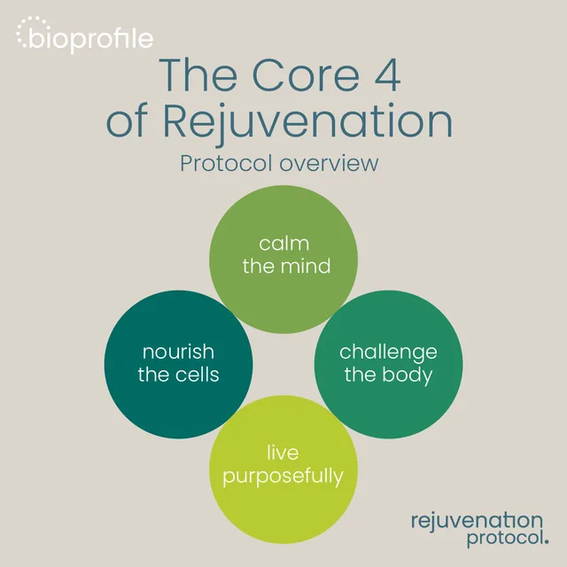 The Core 4 of Rejuvenation: protocol overzicht