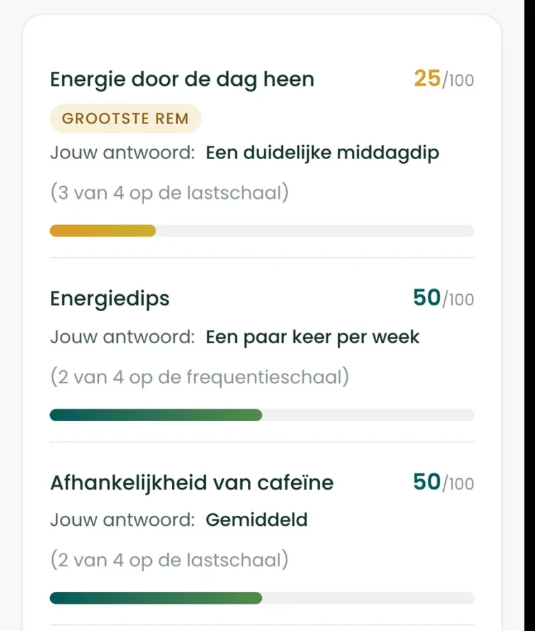 De energievragen teruggelezen op het resultaatscherm van de BioProfile-scan, elk met je antwoord en een score van 0 tot 100