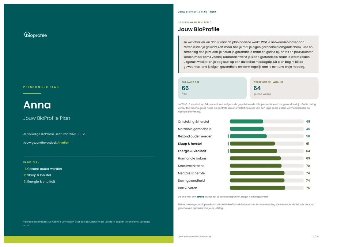 Twee pagina's uit een echt BioProfile Plan naast elkaar: de tien profielen en het ritme van dertig dagen.