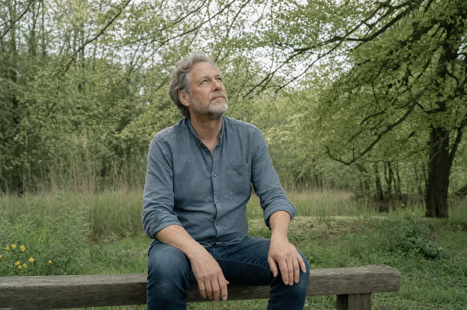 A man of around 55 with a short grey beard and a blue shirt sits on a wooden bench at the edge of a wood and looks up at the leaves.