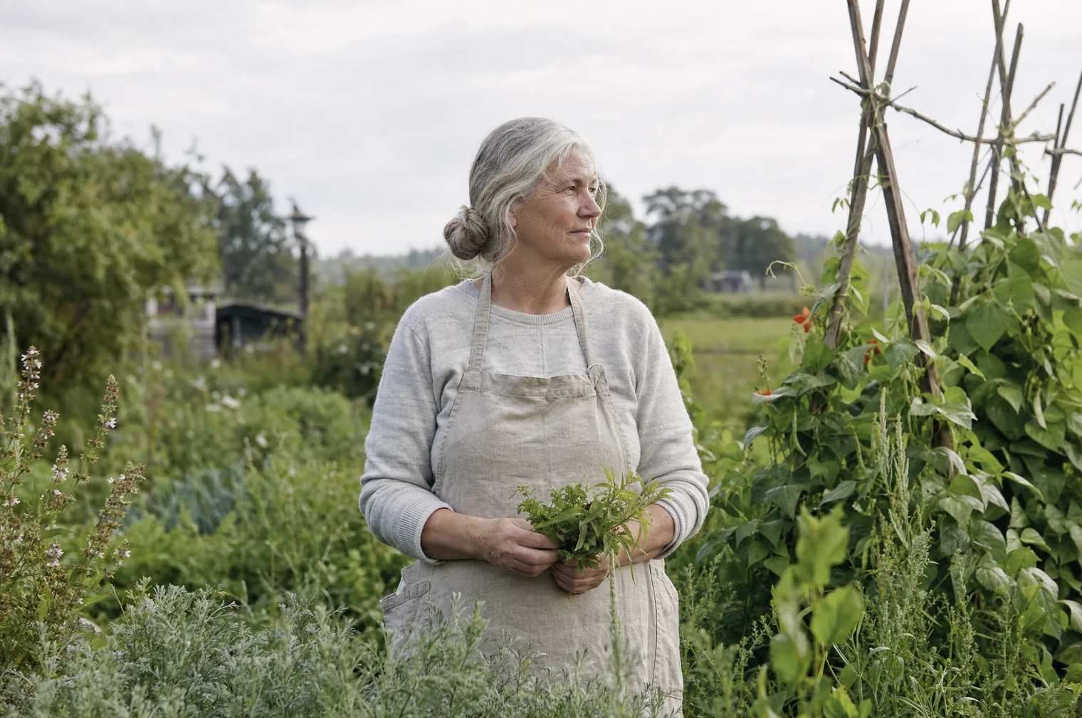A woman of around 60 with grey hair in a bun and a linen apron stands in a vegetable garden among herbs and bean poles, holding a bunch of fresh herbs.